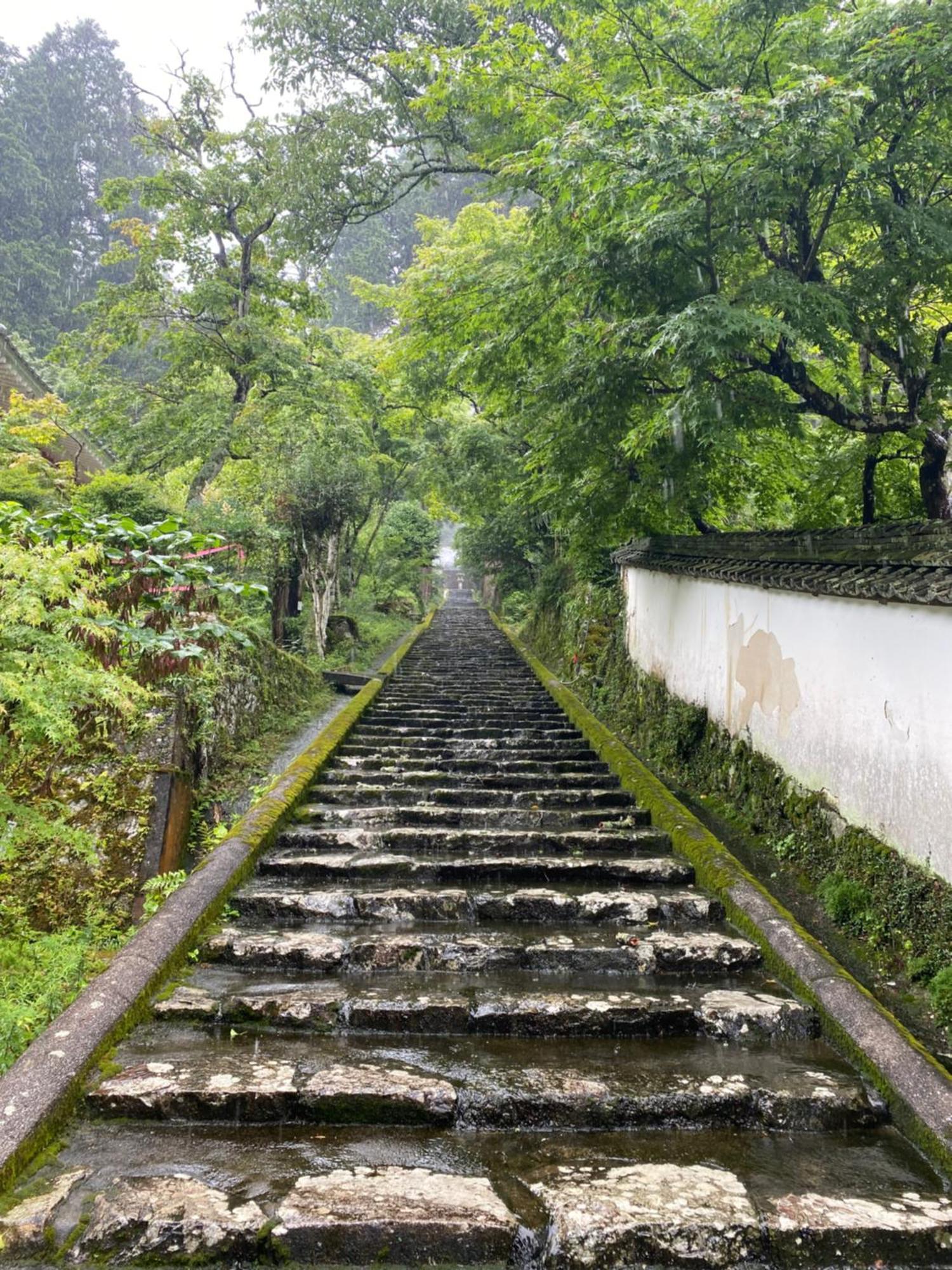 Guesthouse Mame庵 Tamba 外观 照片